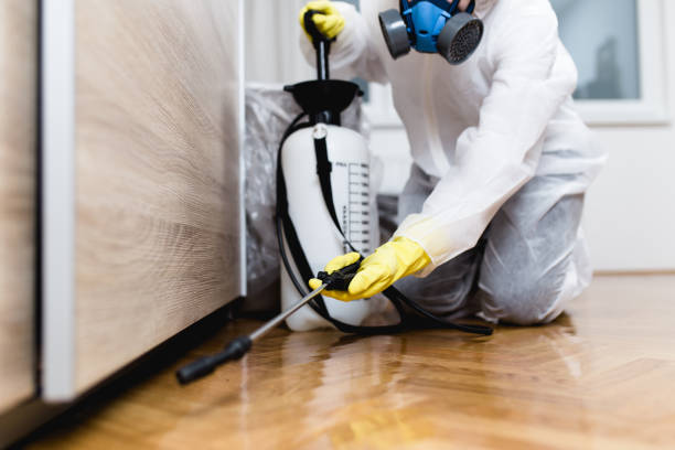 Insect Control in Alliance, OH