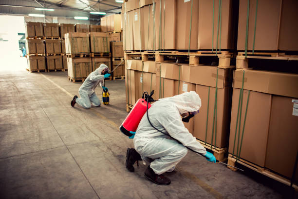 Best Cockroach Control Services  in Alliance, OH