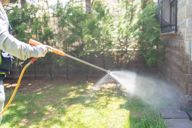 Bird Control in Alliance, OH