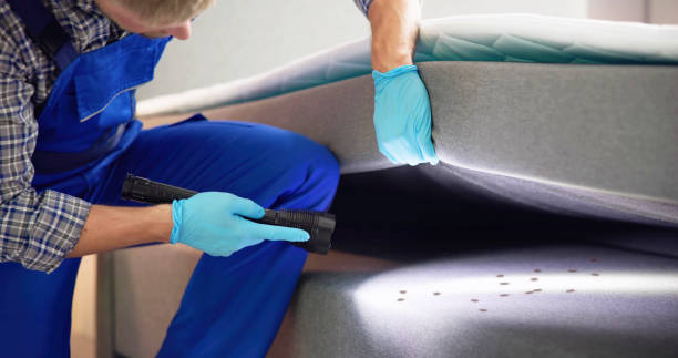 Best Pest Inspection Near Me  in Alliance, OH