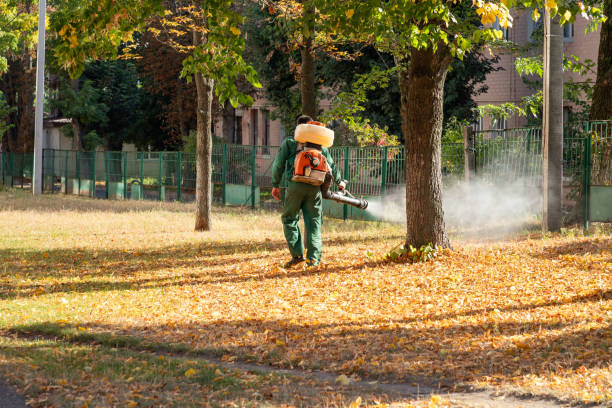 Best Affordable Pest Control Services  in Alliance, OH