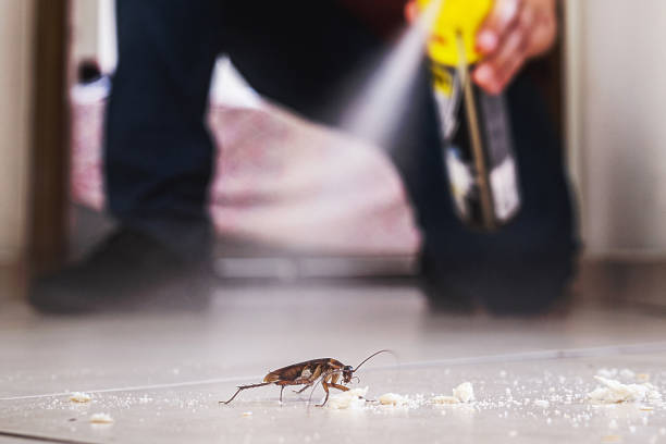 Pest Control Cost in Alliance, OH