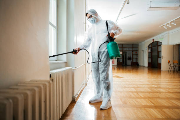 Best Local Pest Control Services  in Alliance, OH