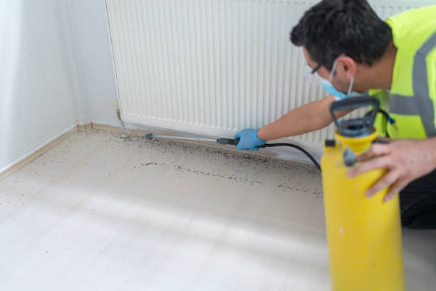 Best Affordable Pest Control Services  in Alliance, OH